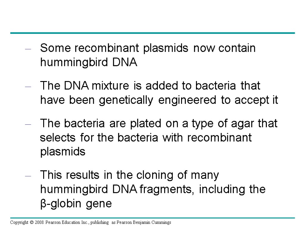 Some recombinant plasmids now contain hummingbird DNA The DNA mixture is added to bacteria